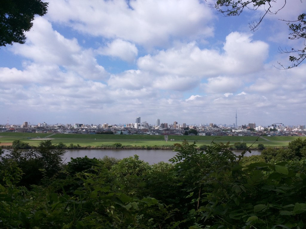 view_of_tokyo